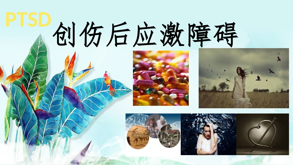 创伤后应激障碍ppt_第1页