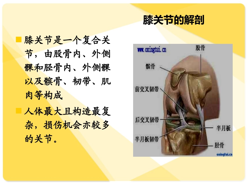 全膝关节置换术后康复_第3页