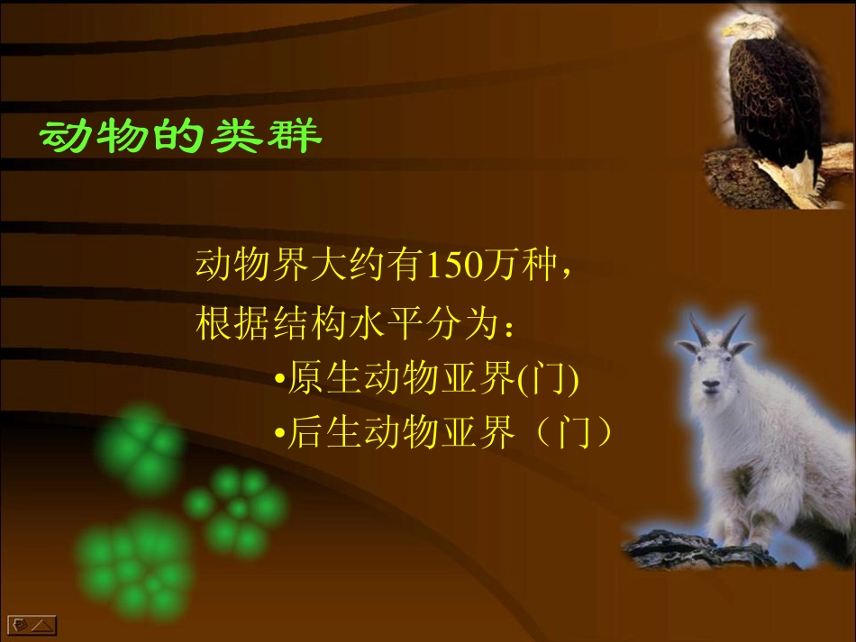 生物的多样性_第3页