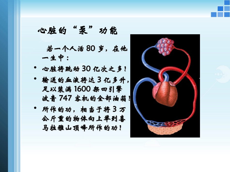 第十三章  心力衰竭_第3页