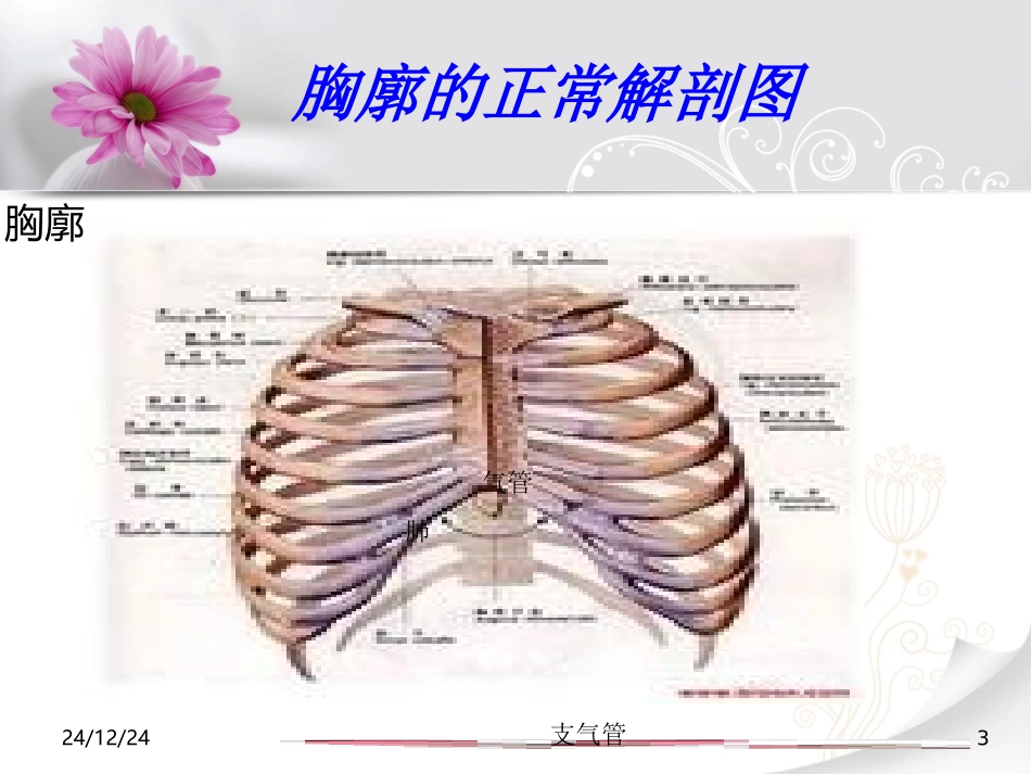 多发伤的护理_第3页