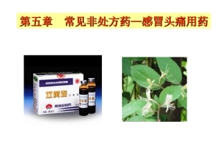 第五章  感冒头痛非处方药