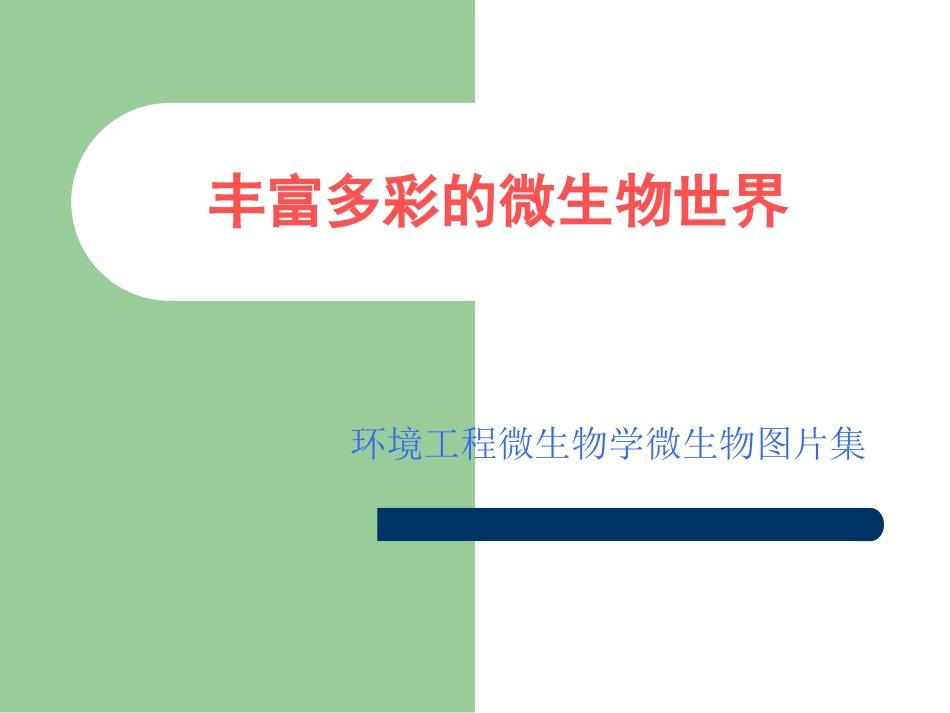 20130312丰富多彩的微生物世界_第1页