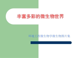 20130312丰富多彩的微生物世界