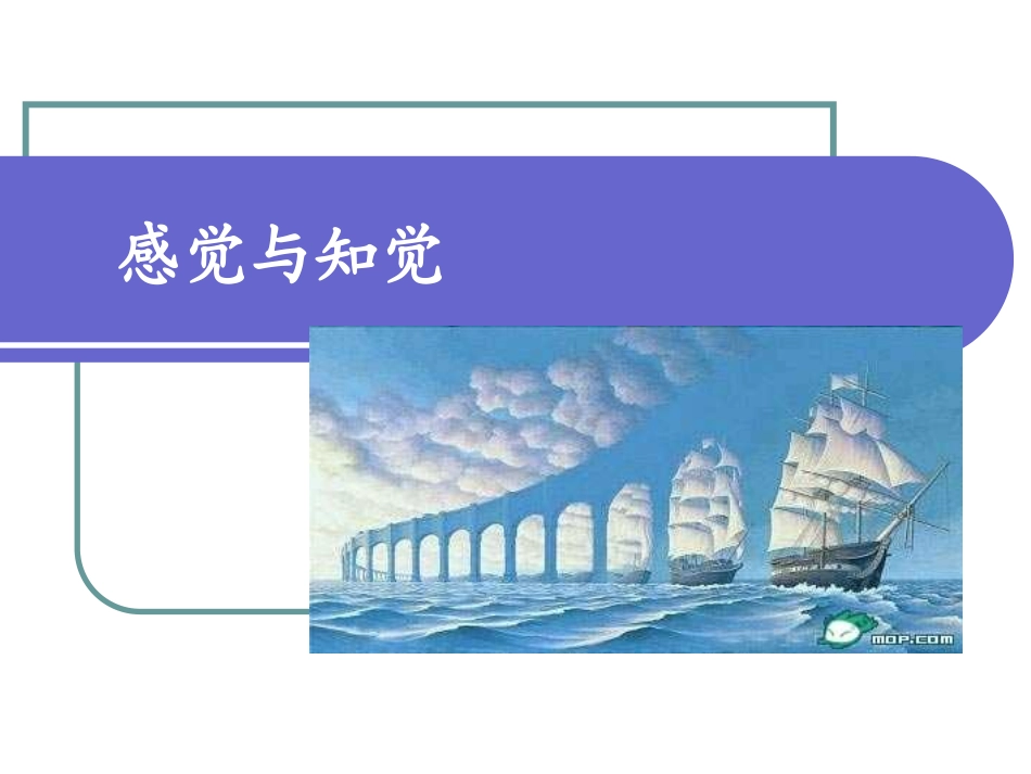 第三章 感觉和知觉_第1页