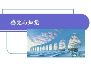 第三章 感觉和知觉