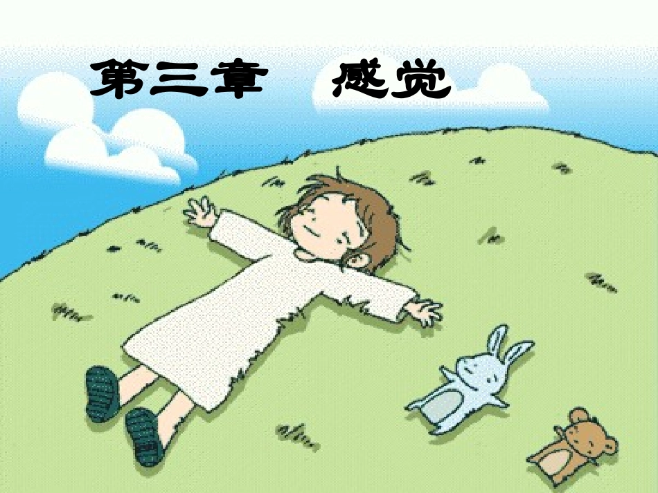 第三章 感觉_第1页