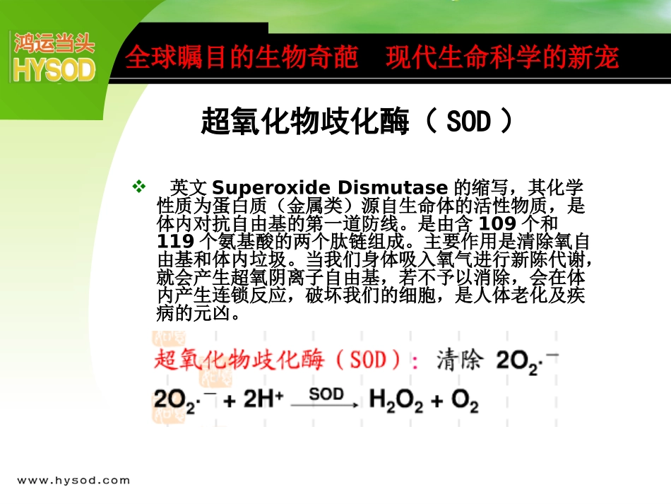 超氧化物歧化酶(SOD)专业知识1_第2页