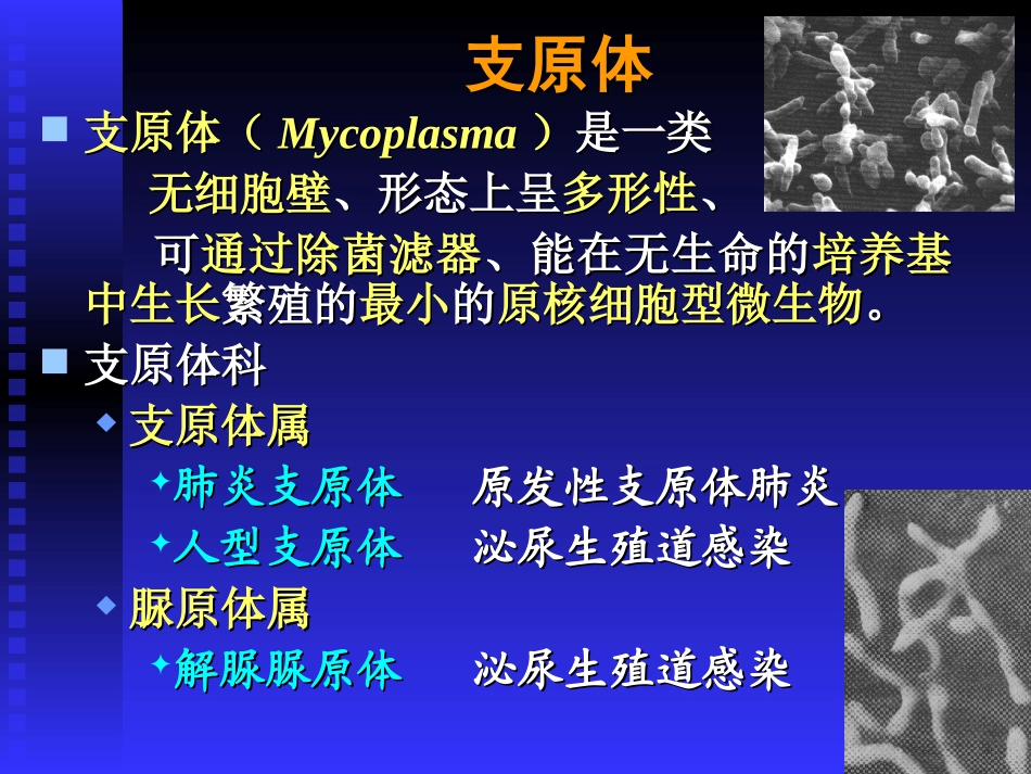 B7支立衣螺体(简)_第1页