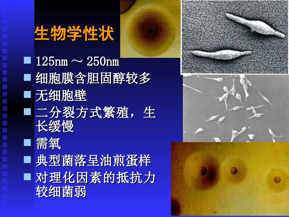 B7支立衣螺体(简)_第2页