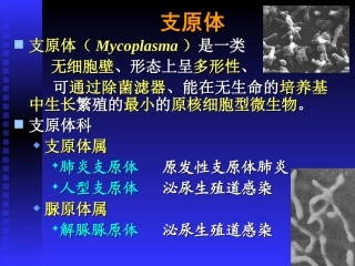 B7支立衣螺体(简)