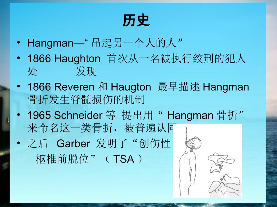 Hangman骨折_第3页