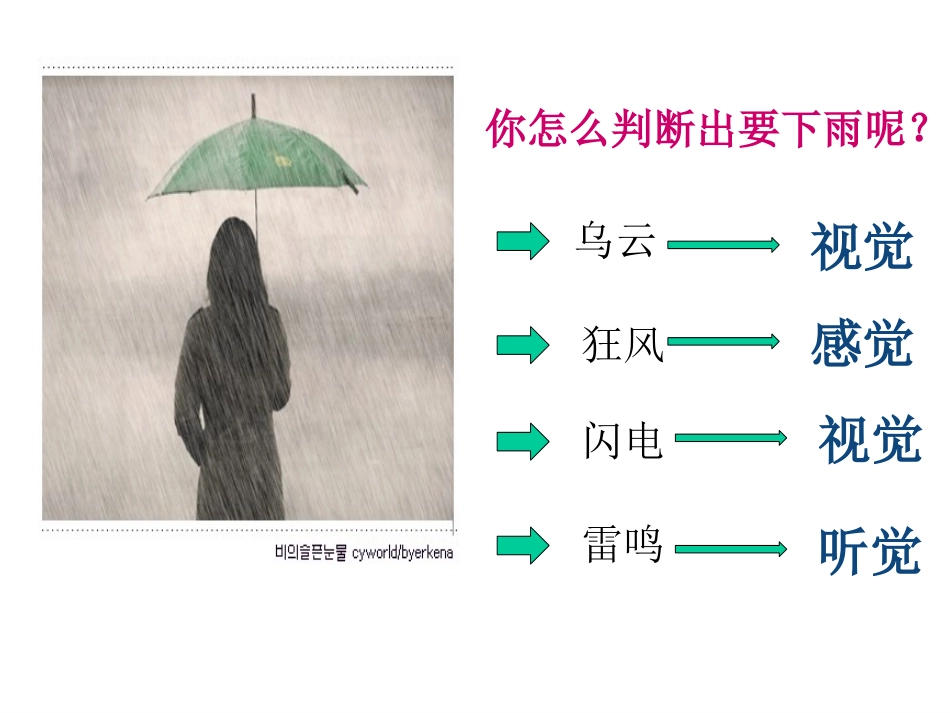 人教版七年级下册生物学第六章第一节人体对外界环境的感知_第2页