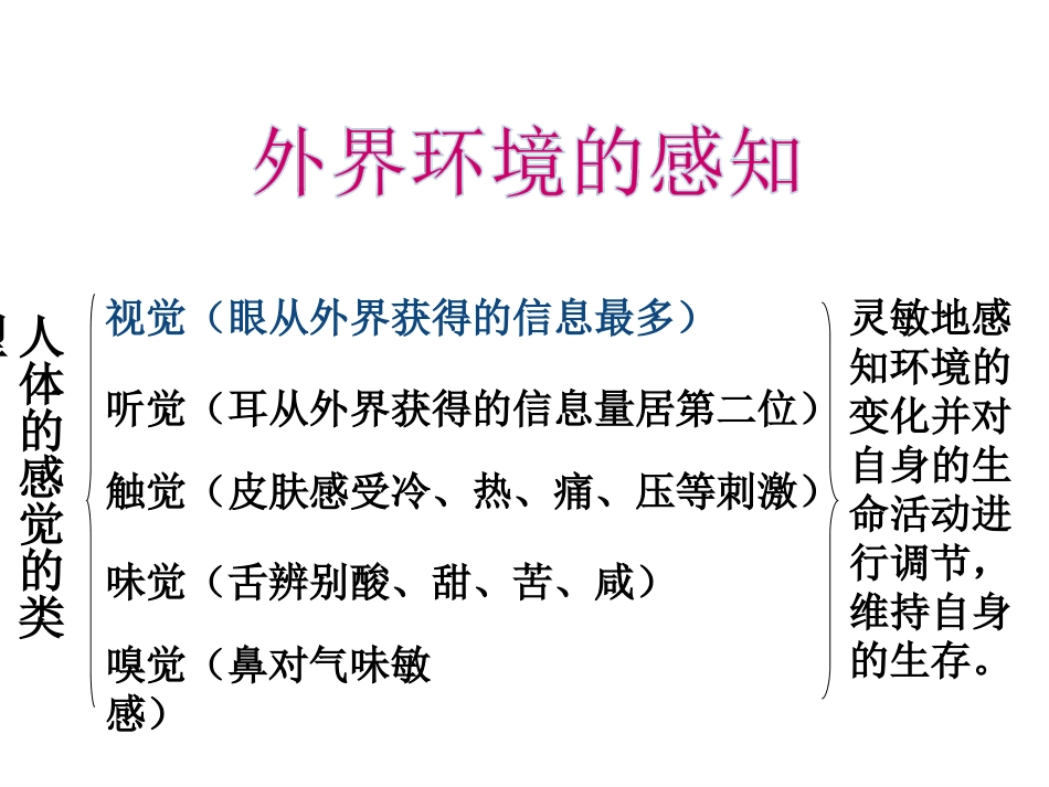 人教版七年级下册生物学第六章第一节人体对外界环境的感知_第3页