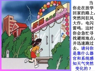 人教版七年级下册生物学第六章第一节人体对外界环境的感知