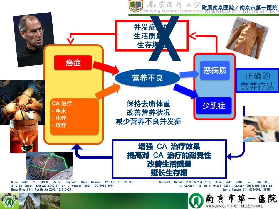 陈老师-20141213 安徽全国肿瘤营养代谢治疗学习班讲课_第3页