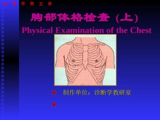 胸部检查临专-10.11
