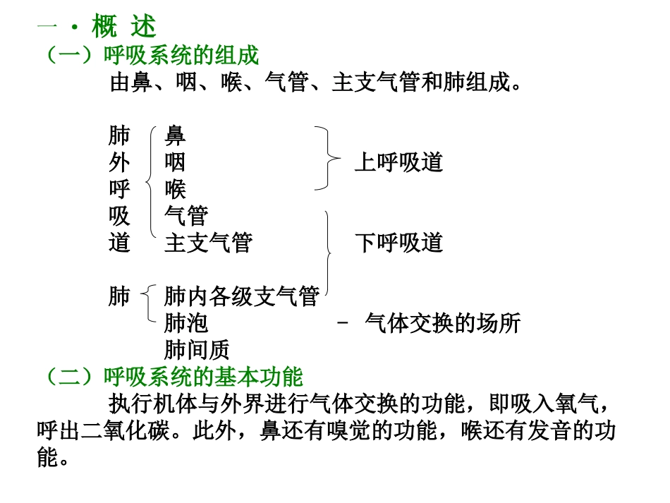 呼吸系统和泌尿系统_第2页