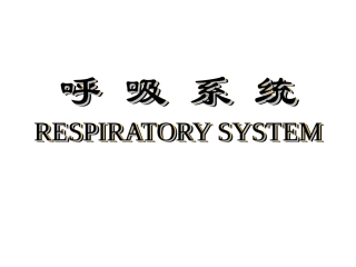 呼吸系统和泌尿系统