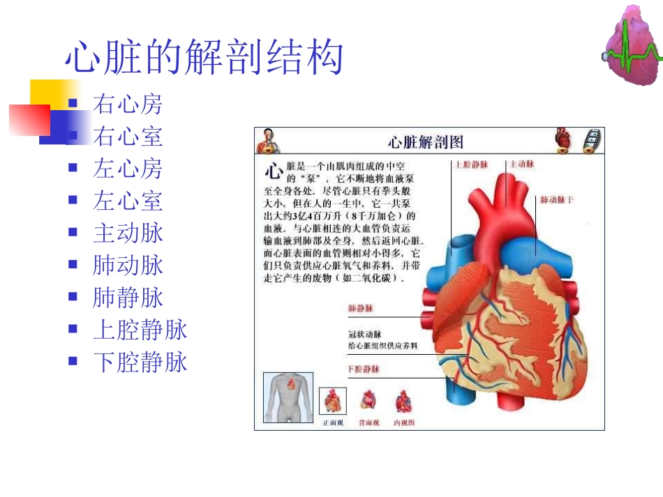 冠心病--河北--张成虎_第3页