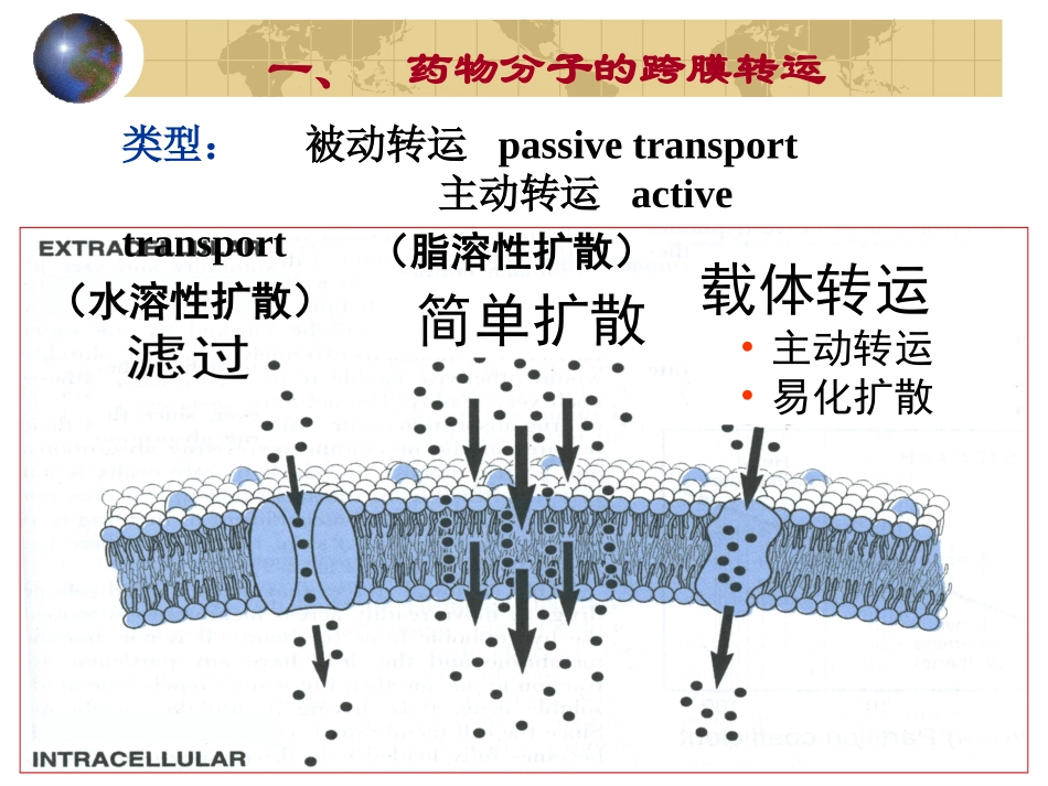 药动学(54学时)_第2页