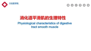 消化道平滑肌的生理特性1
