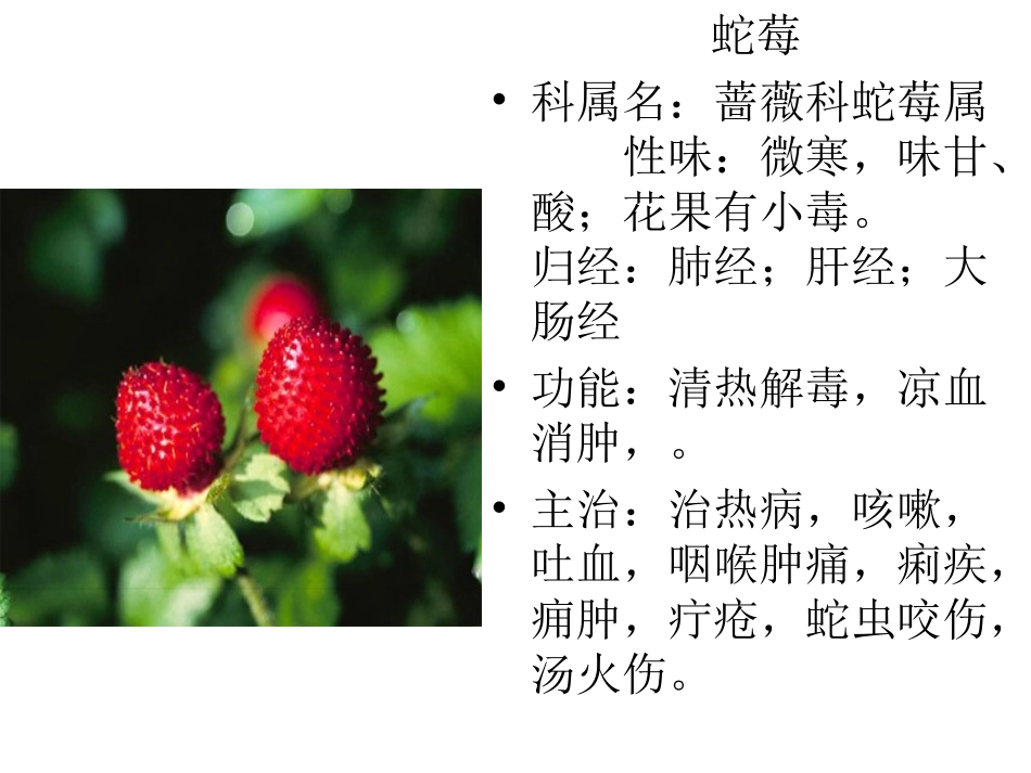 户外中草药观察_第2页