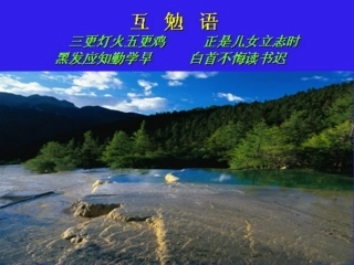第六节 骨关节发育障碍