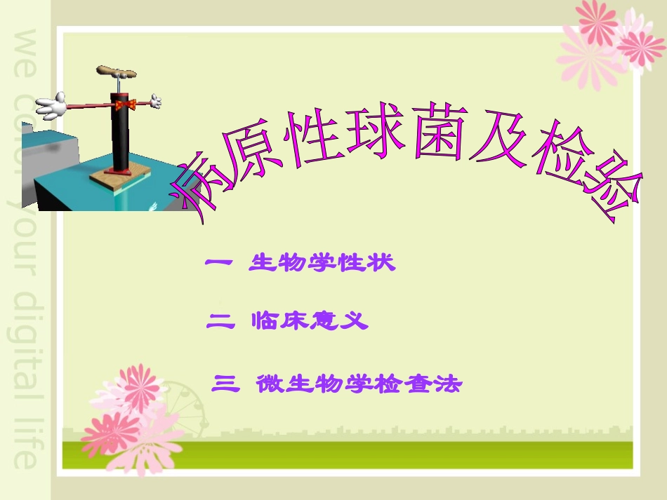 第七章 球菌_第3页