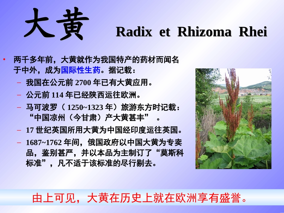 第七章根和根茎类生药1_第2页