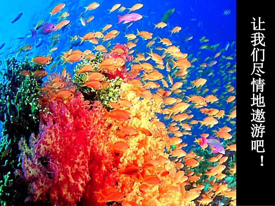 ATP与细胞呼吸一轮复习-Z_第1页