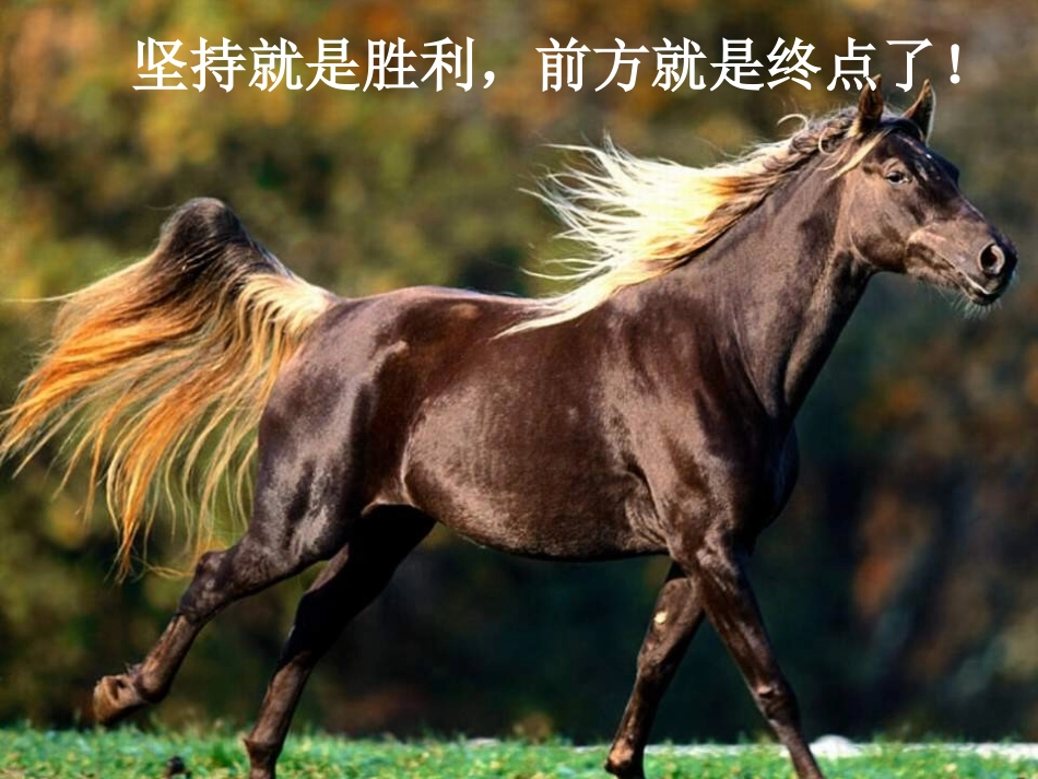 ATP与细胞呼吸一轮复习-Z_第2页