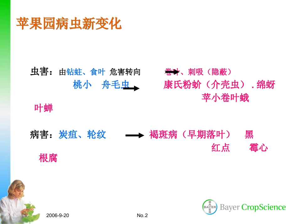 苹果主要病虫害防治_第2页