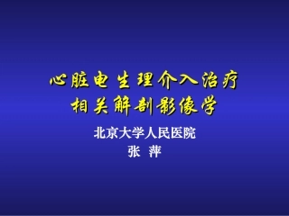 心脏电生理介入治