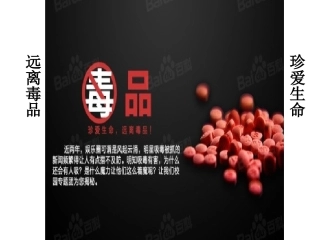 珍惜生命--远离毒品2
