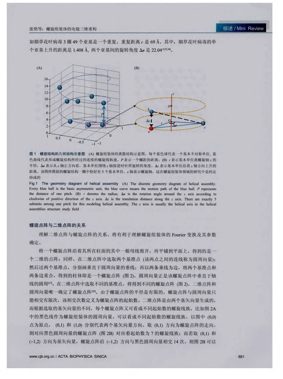螺旋组装体的电镜三维重构_第3页