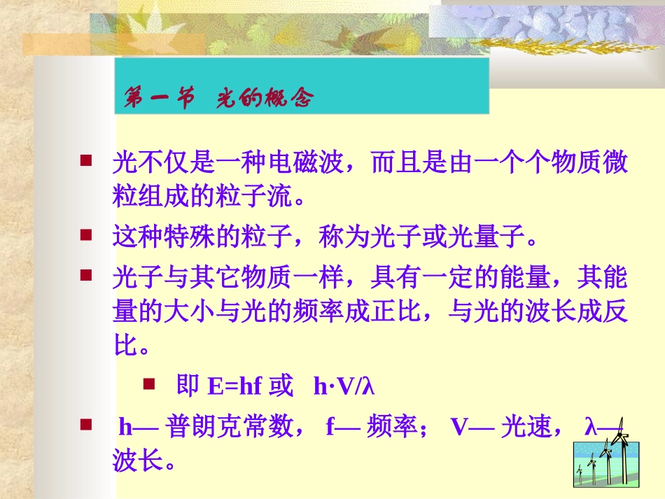 第三章-光照_第3页