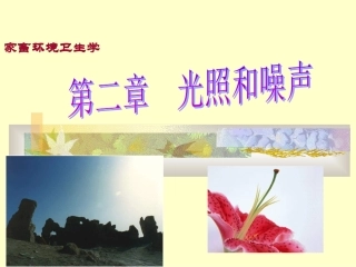 第三章-光照