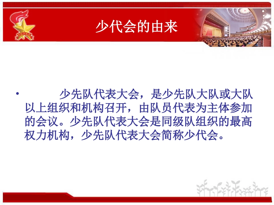 弘扬少代会精神_第3页