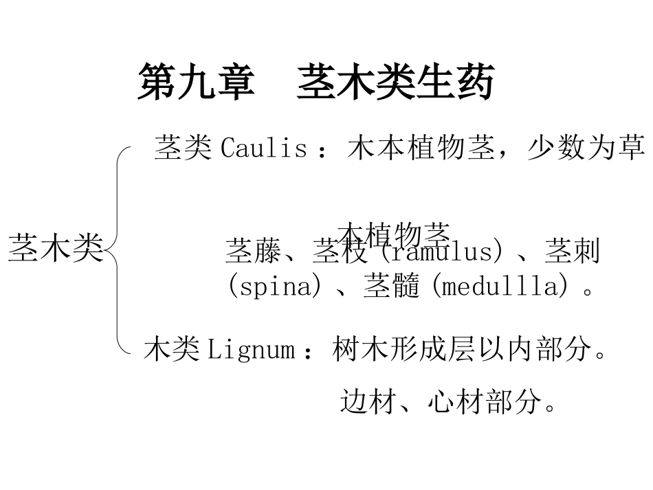 生药学-茎皮-菌类0_第2页