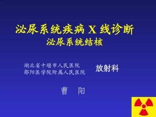 泌尿系统结核