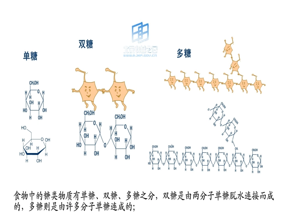生命的赞歌之糖浓血浆1_第2页