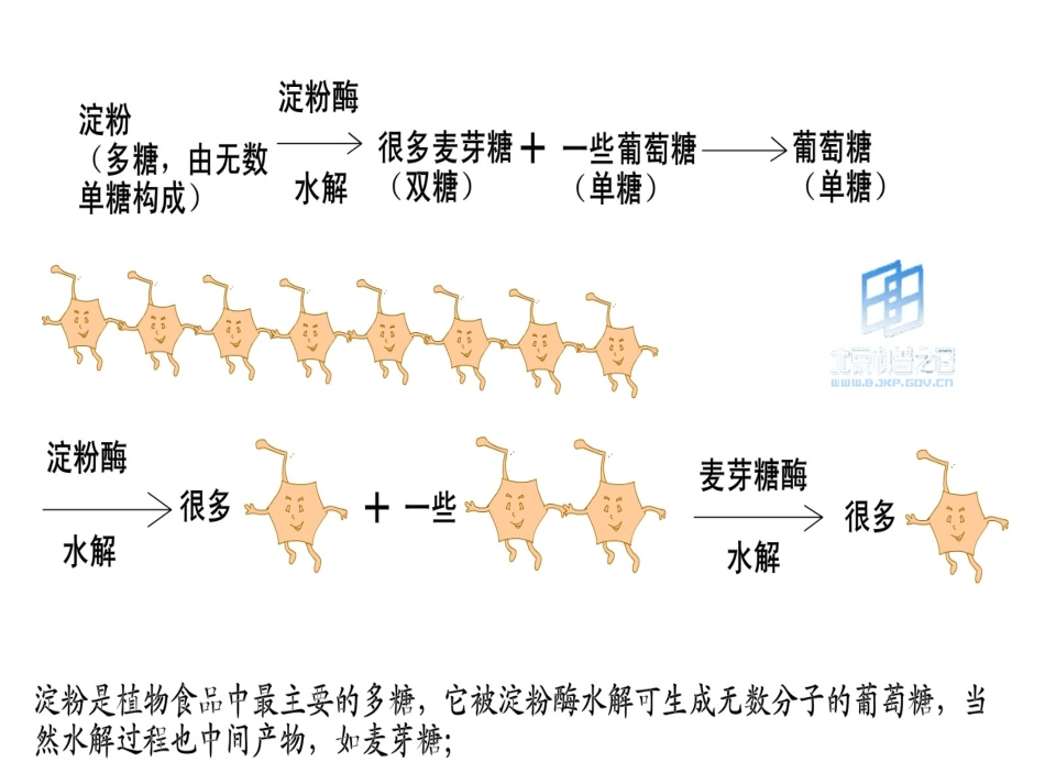 生命的赞歌之糖浓血浆1_第3页