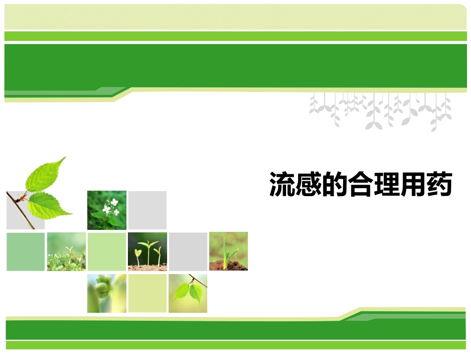 流感的合理用药_第1页