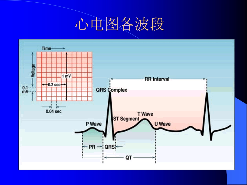 心电图阅读[160P][10.0MB]_第2页