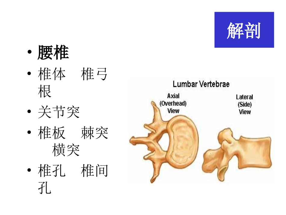 腰腿痛诊治进展_第3页