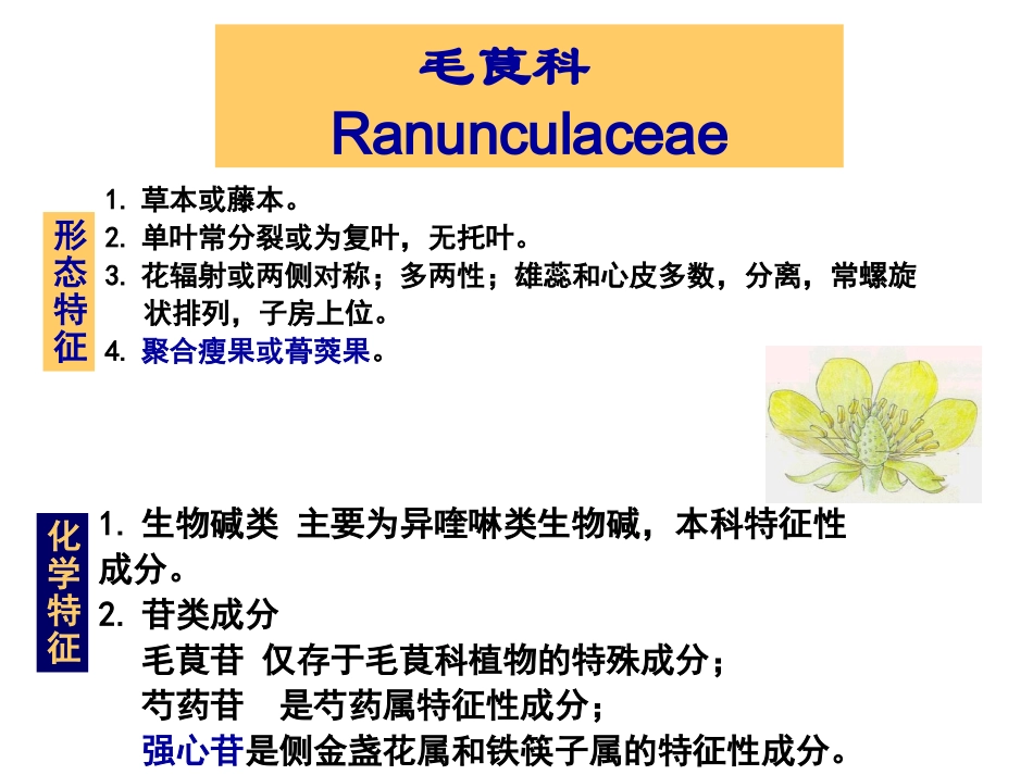生药学02毛茛科_第1页