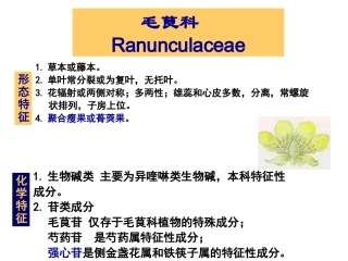 生药学02毛茛科
