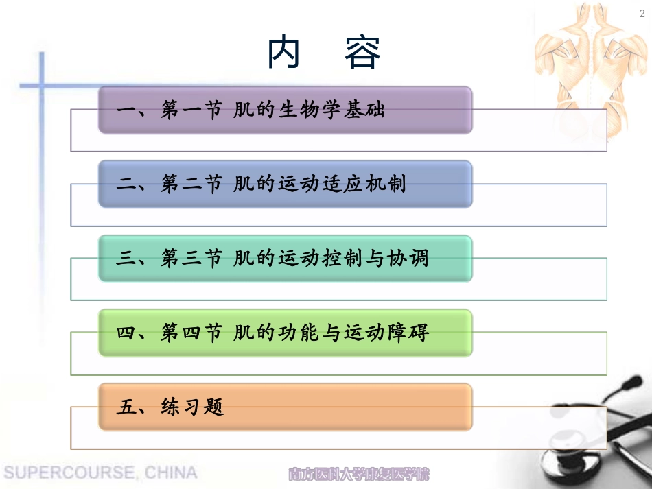 肌运动学--赵一瑾2013-5-20_第2页