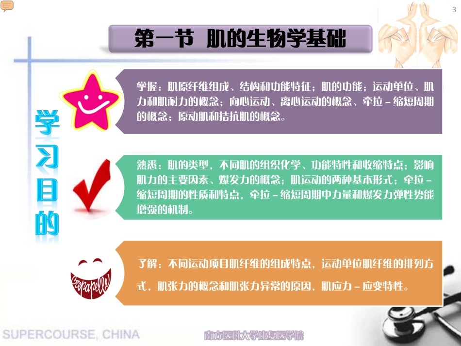 肌运动学--赵一瑾2013-5-20_第3页